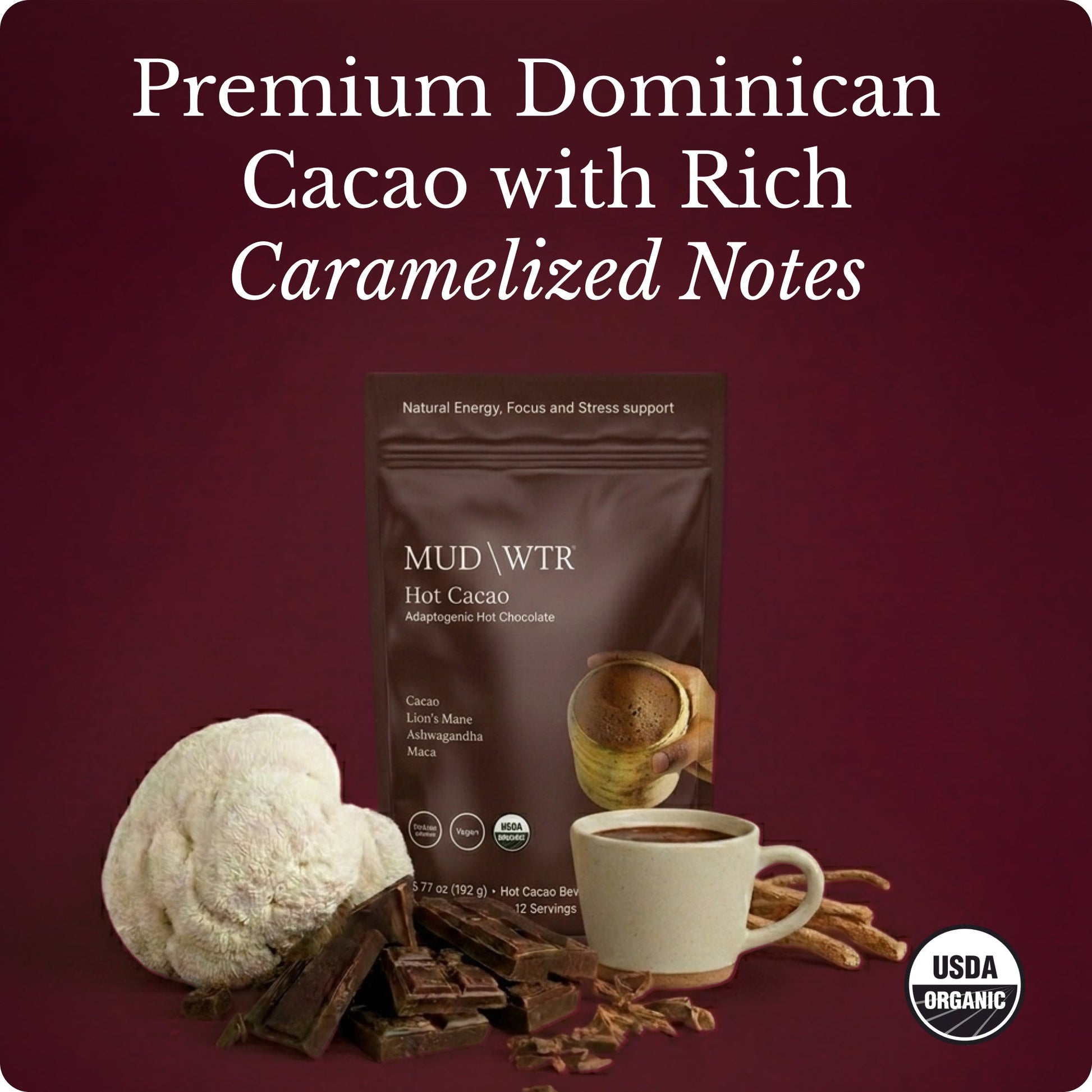 hot-chocolate-o2 Hot_Chocolate_Image_01.jpg