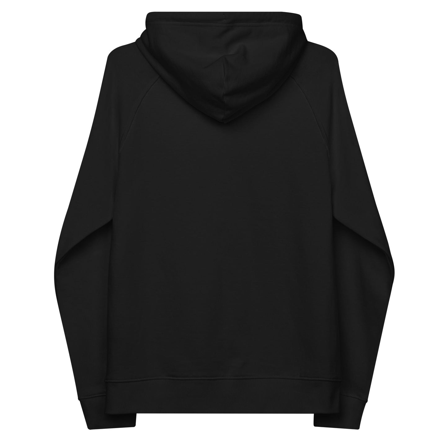 unlearn-relearn-hoodie-q7 unisex-eco-raglan-hoodie-black-back-647547b169f25.jpg