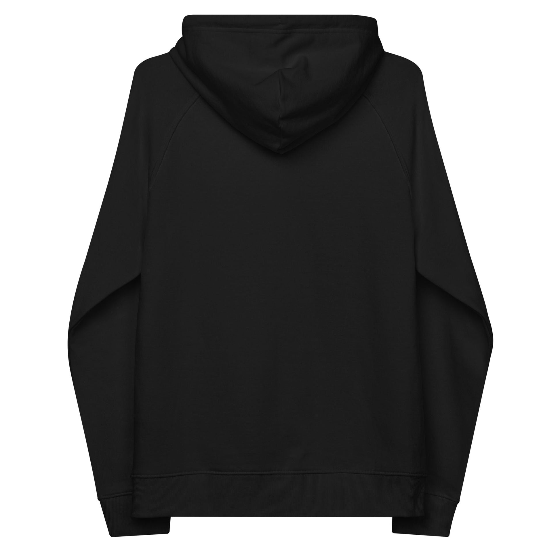 unlearn-relearn-hoodie-q7 unisex-eco-raglan-hoodie-black-back-647547b169f25.jpg